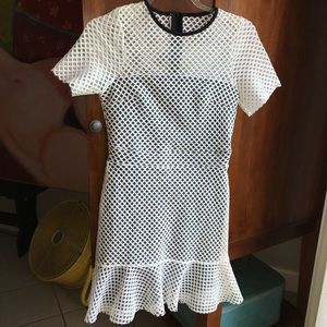 ASOS Net and Mesh Overlay Fit and Flare Dress